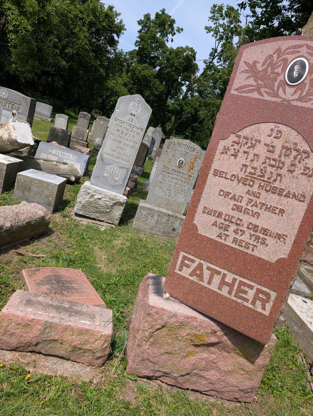 everyone must get&nbsp;stoned